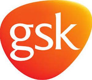 instructor logo